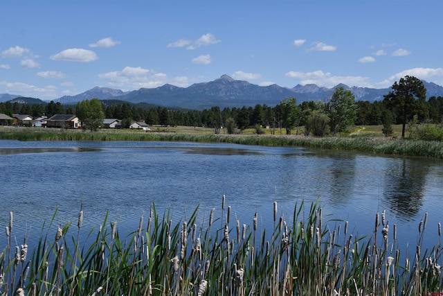 40 Port Ave, Pagosa Springs, CO 81147