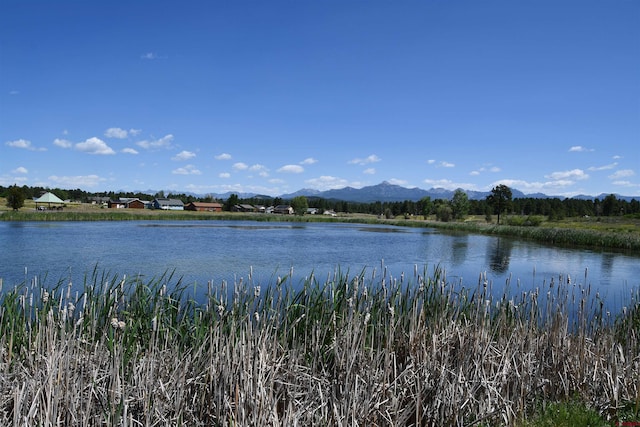 40 Port Ave, Pagosa Springs, CO 81147