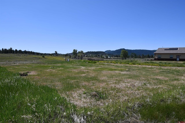 40 Port Ave, Pagosa Springs, CO 81147