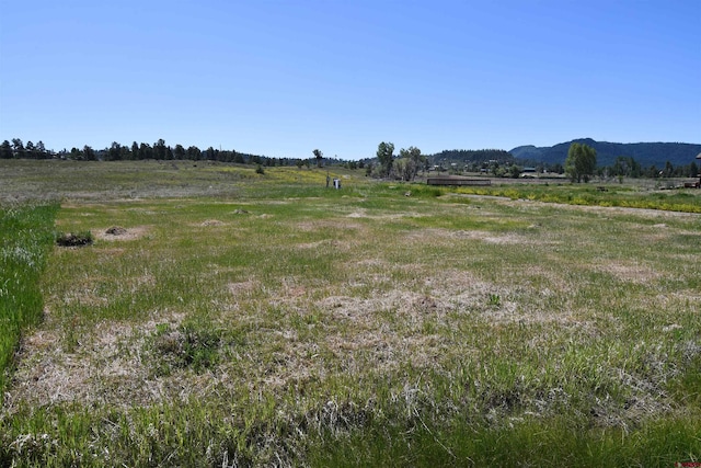 40 Port Ave, Pagosa Springs, CO 81147