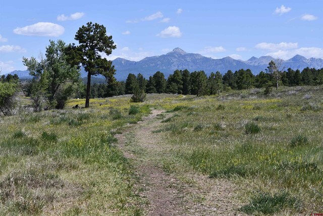 40 Port Ave, Pagosa Springs, CO 81147