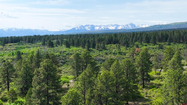 35ACRES Davewood Rd, Montrose, CO 81403