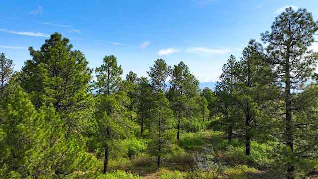 35ACRES Davewood Rd, Montrose, CO 81403