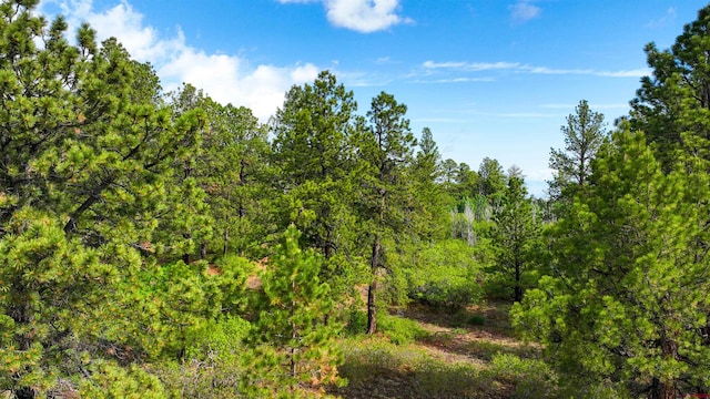 35ACRES Davewood Rd, Montrose, CO 81403
