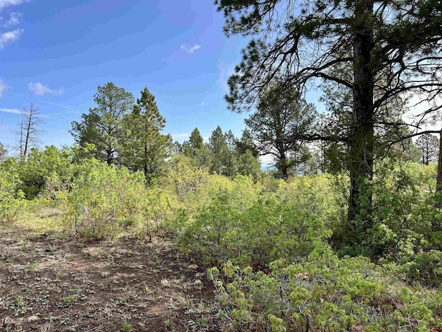 35ACRES Davewood Rd, Montrose, CO 81403