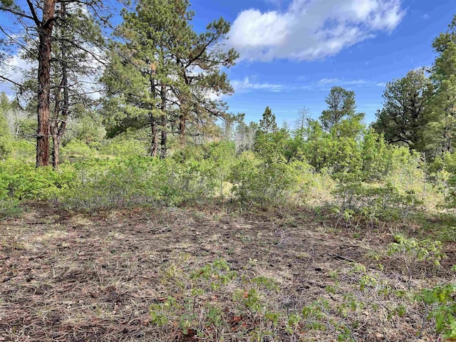 35ACRES Davewood Rd, Montrose, CO 81403