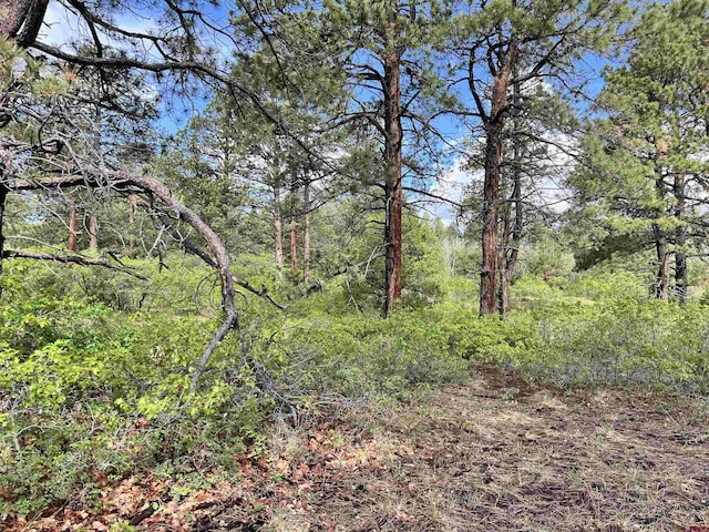 35ACRES Davewood Rd, Montrose, CO 81403