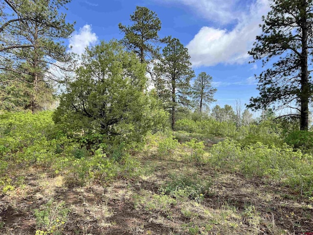 35ACRES Davewood Rd, Montrose, CO 81403