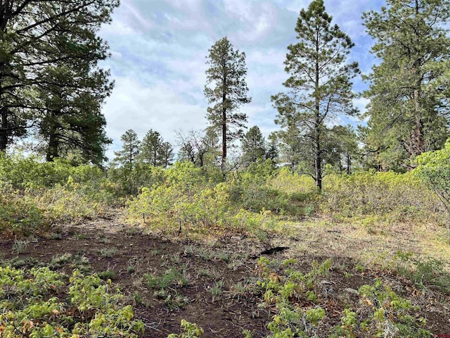 35ACRES Davewood Rd, Montrose, CO 81403