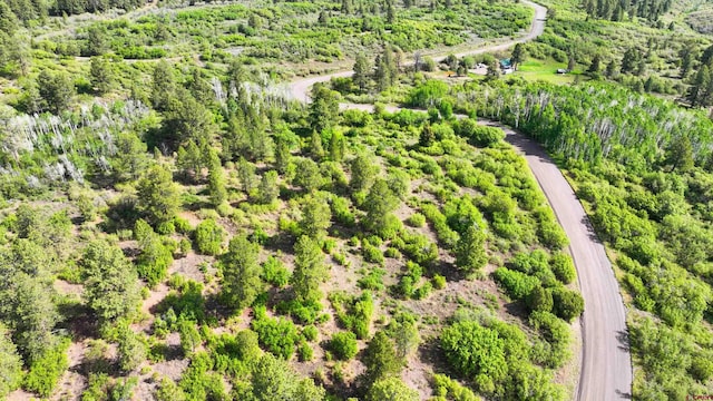 35ACRES Davewood Rd, Montrose, CO 81403