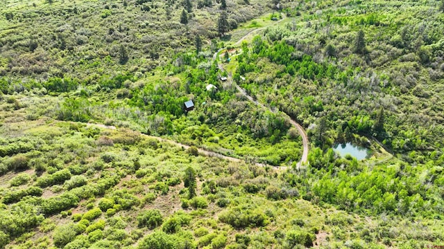 35ACRES Davewood Rd, Montrose, CO 81403