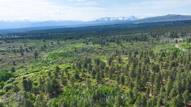 35ACRES Davewood Rd, Montrose, CO 81403