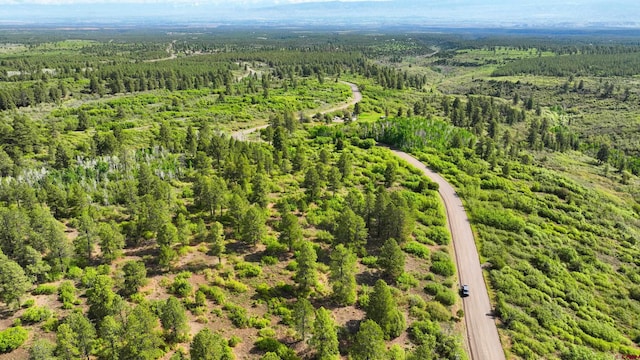 35ACRES Davewood Rd, Montrose, CO 81403