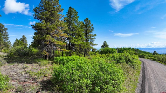 35ACRES Davewood Rd, Montrose, CO 81403