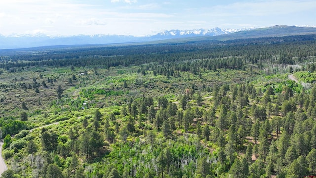 35ACRES Davewood Rd, Montrose, CO 81403