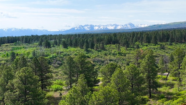 35ACRES Davewood Rd, Montrose, CO 81403
