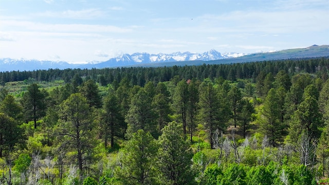 35ACRES Davewood Rd, Montrose, CO 81403