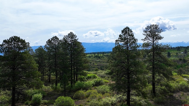35ACRES Davewood Rd, Montrose, CO 81403