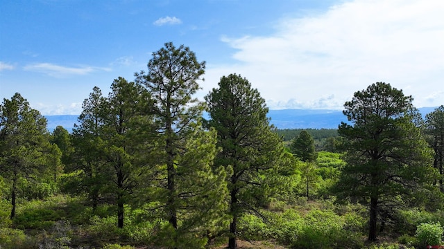 35ACRES Davewood Rd, Montrose, CO 81403