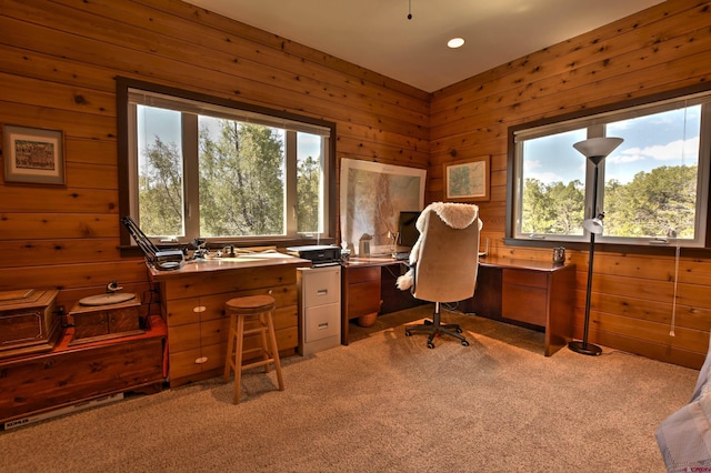 76 Pinnacle Dr, Ridgway, CO 81432 - carpeted home office featuring wood walls and recessed lighting