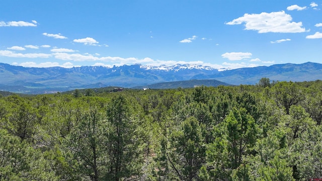76 Pinnacle Dr, Ridgway, CO 81432 - view of mountain background featuring a forest
