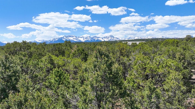 76 Pinnacle Dr, Ridgway, CO 81432 - view of mountain backdrop featuring a heavily wooded area