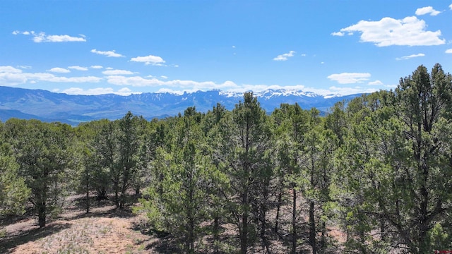 76 Pinnacle Dr, Ridgway, CO 81432 - view of mountain backdrop featuring a heavily wooded area