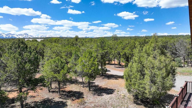 76 Pinnacle Dr, Ridgway, CO 81432 - view of wooded area