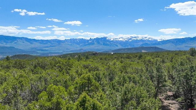 76 Pinnacle Dr, Ridgway, CO 81432 - view of mountain backdrop with a heavily wooded area
