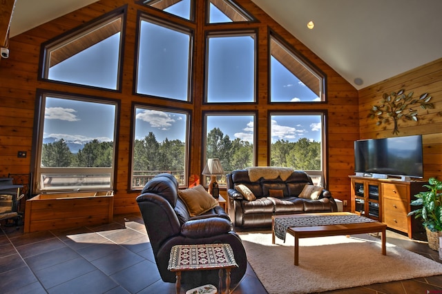 76 Pinnacle Dr, Ridgway, CO 81432 - living room with wood walls, dark tile patterned floors, and high vaulted ceiling