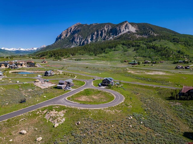 554 White Stallion Cir, Crested Butte, CO 81224