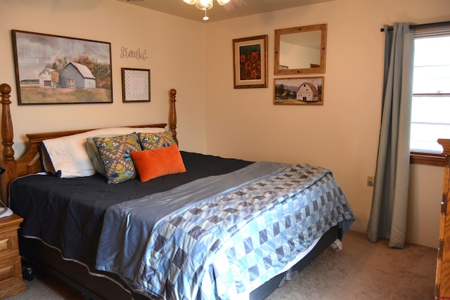 8801 2100th Rd, Austin, CO 81410 - bedroom with carpet flooring and multiple windows