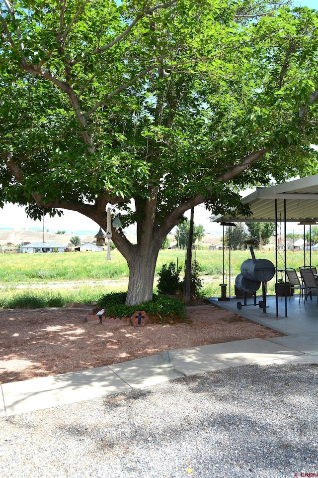 8801 2100th Rd, Austin, CO 81410 - view of parking