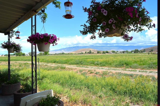 8801 2100th Rd, Austin, CO 81410 - view of yard with a rural view and a mountain view
