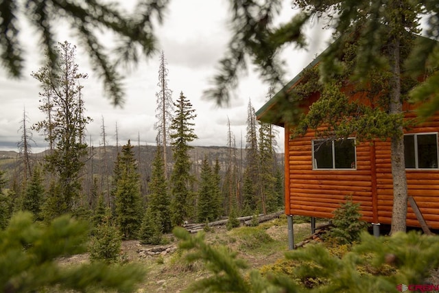 3190 Forest Rd, Creede, CO 81130
