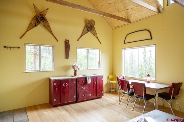 3190 Forest Rd, Creede, CO 81130