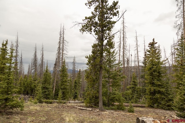 3190 Forest Rd, Creede, CO 81130