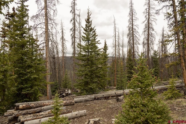 3190 Forest Rd, Creede, CO 81130