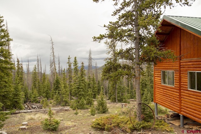 3190 Forest Rd, Creede, CO 81130