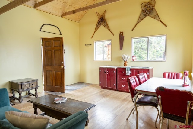 3190 Forest Rd, Creede, CO 81130
