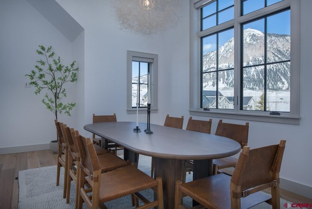 918 Belleview Ave, Crested Butte, CO 81224 - dining space with wood finished floors, baseboards, and a mountain view