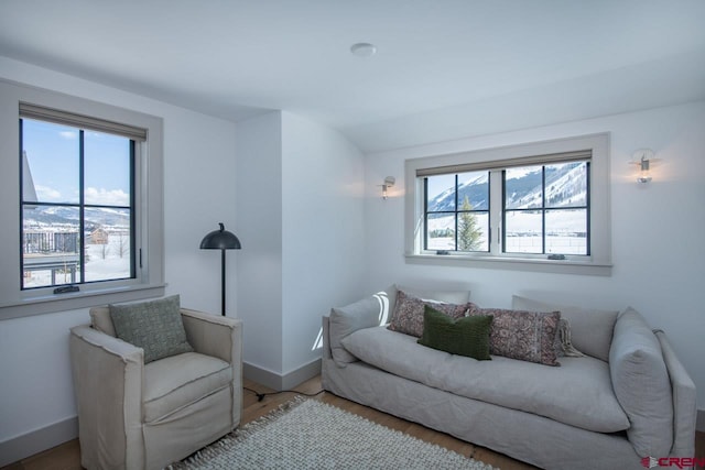 918 Belleview Ave, Crested Butte, CO 81224 - living area featuring plenty of natural light, baseboards, and wood finished floors