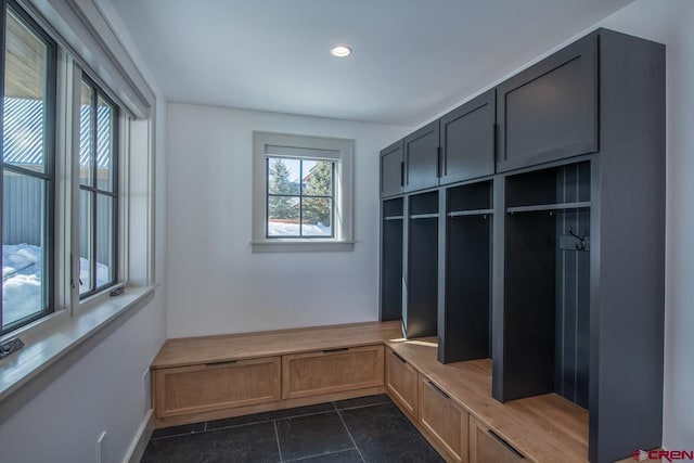 918 Belleview Ave, Crested Butte, CO 81224 - mudroom featuring recessed lighting and dark tile patterned flooring