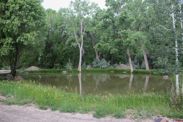 1551 G86 Rd, Delta, CO 81416 - water view