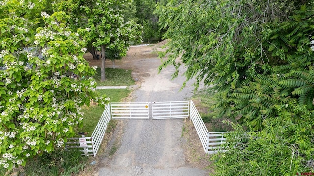 1551 G86 Rd, Delta, CO 81416 - view of street