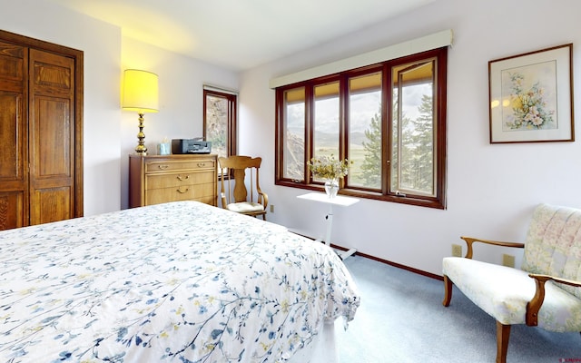 42246 US Highway 50, Gunnison, CO 81230 - carpeted bedroom with baseboards