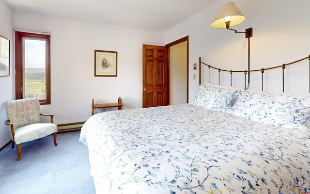 42246 US Highway 50, Gunnison, CO 81230 - carpeted bedroom with a baseboard radiator
