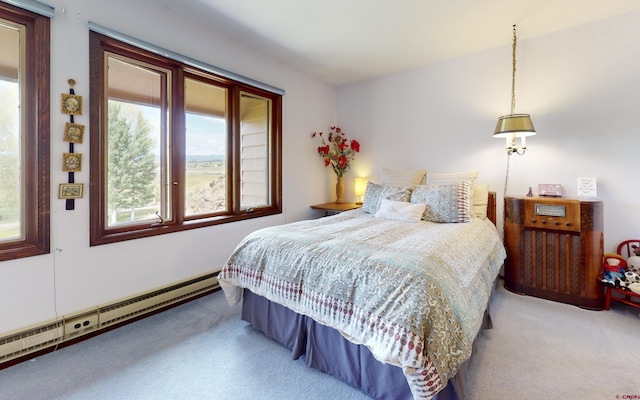 42246 US Highway 50, Gunnison, CO 81230 - bedroom featuring baseboard heating and carpet flooring