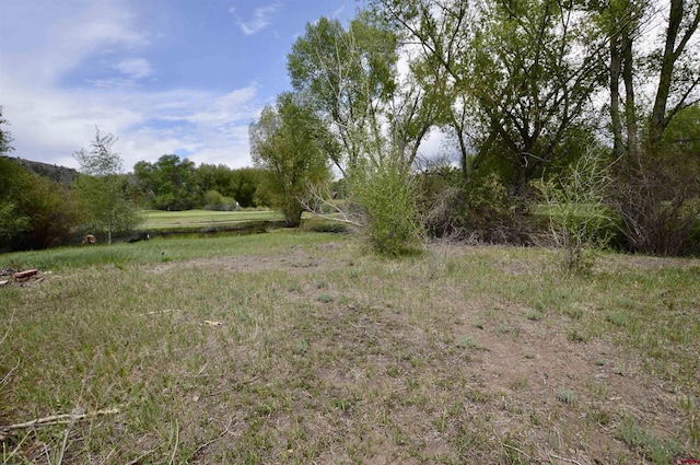 945 Fairway Ln, Gunnison, CO 81230