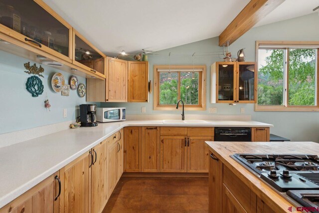 280 Marys Rd, Ridgway, CO 81432 - kitchen with black appliances, a sink, light countertops, glass insert cabinets, and concrete floors